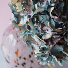 Dried hydrangea close up. Colorful glass vase. Pink pastel background.

The Responsible Creatives – Keila Hoetzel, Mariela Dommarco