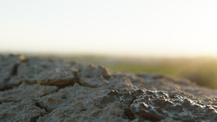 Cracks In Dry Soil. Close up.