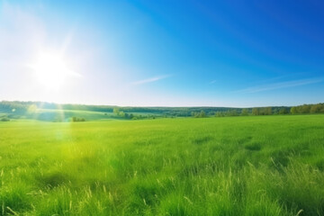 Fototapeta premium Beautiful panoramic natural landscape of a green field with grass against a blue sky with sun. Spring summer blurred background.