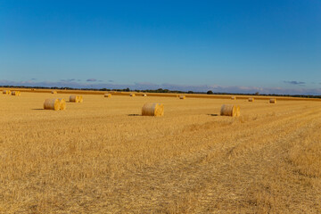 Fototapeta premium view of a crop field in Spain