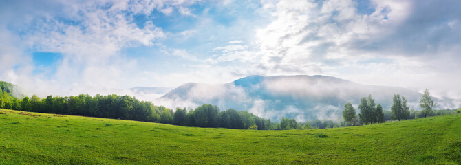 Obraz na płótnie Canvas grassy meadow landscape of ukrainian mountains. view in to the distant valley. misty morning