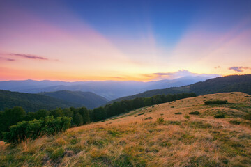 Fototapeta na wymiar carpathian countryside in summer. mountains of svydovets range. clouds on the sky in evening light