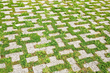 Concrete flooring blocks with grass permeable to rain water as required by the building laws used...