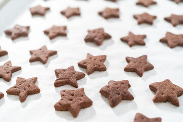 Chocolate graham crackers