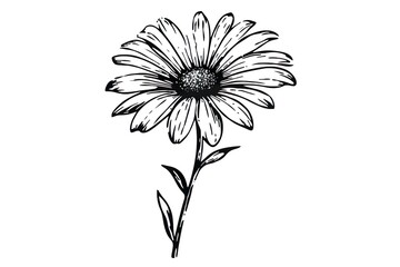 Attractive and classy image of flower generated by AI