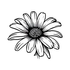 Attractive and classy image of flower generated by AI