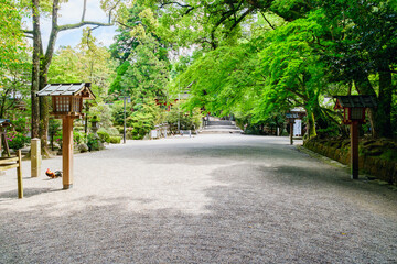 【奈良県】天理市 石上神宮 (2023/04/27撮影)
