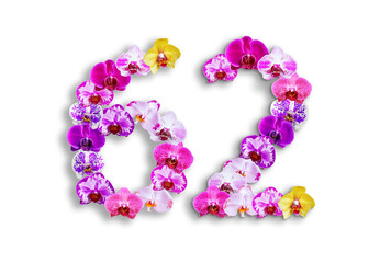 The shape of the number 62 is made of various kinds of orchid flowers. suitable for birthday, anniversary and memorial day templates