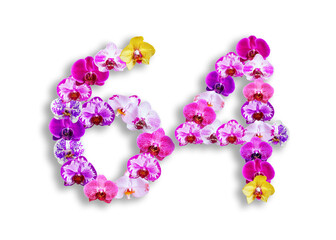 The shape of the number 64 is made of various kinds of orchid flowers. suitable for birthday, anniversary and memorial day templates