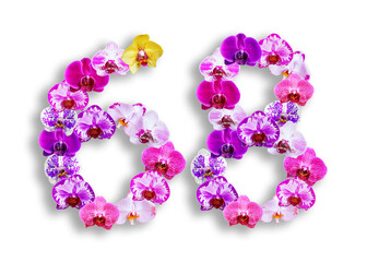 The shape of the number 68 is made of various kinds of orchid flowers. suitable for birthday, anniversary and memorial day templates