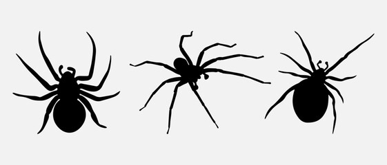 isolated black silhouette of a spider, vector collection