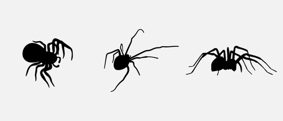 isolated black silhouette of a spider, vector collection