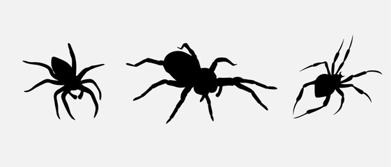 isolated black silhouette of a spider, vector collection