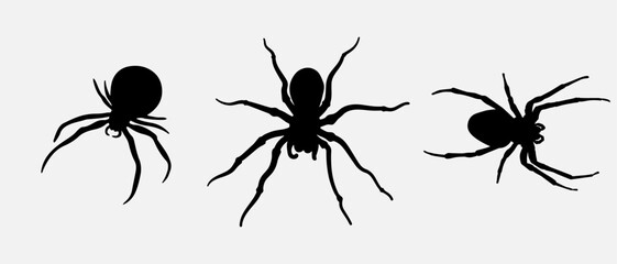 isolated black silhouette of a spider, vector collection