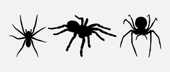 isolated black silhouette of a spider, vector collection