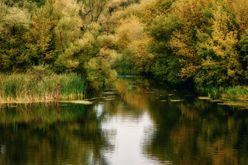 A small river flows peacefully between the banks overgrown with grass, the leaves on the trees have already turned yellow, a beautiful autumn landscape