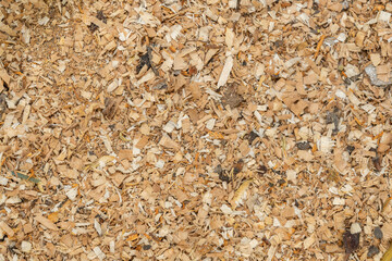 Wood shavings and sawdust background texture. Pile of sawdust close up top view.