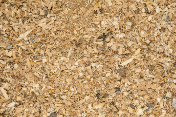 Wood shavings and sawdust background texture. Pile of sawdust close up top view.