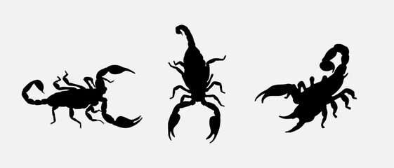 isolated black silhouette of a scorpion, vector collection