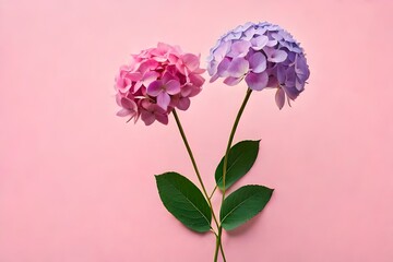 top view of beautiful textures of flowers, wallpapers and Backgrounds Generative Ai 