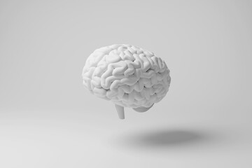 White brain floating in mid air with shadow on white background. Illustration of the concept of medical anatomy, creativity and ideas