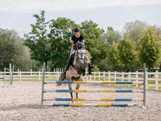 Fototapeta premium Girl rider on a dapple gray horse jumping over a hurdle at the manege of equestrian center on a sunny day