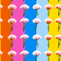 Fototapeta na wymiar Seamless Colorful Carnation Pattern.Seamless pattern of Carnations in colorful style. Add color to your digital project with our pattern!