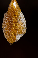 honeycomb
