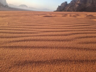 Fototapeta premium sand dunes in the desert