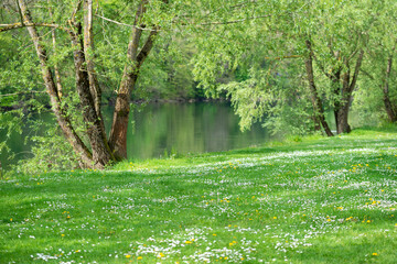 Balade au bord de la rivière au printemps