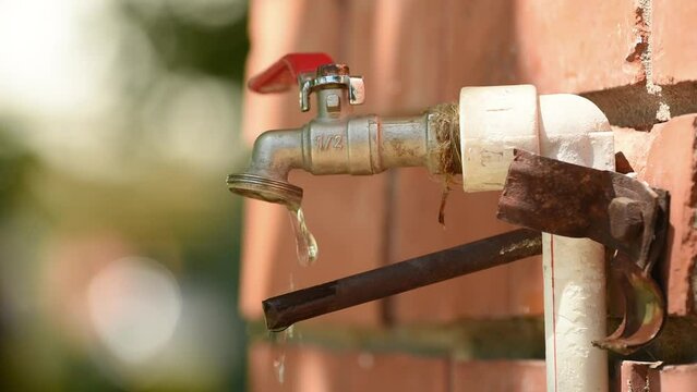 Back yard garden spigot faucet with dripping water in summer