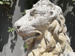 Fototapeta na wymiar imperial lion statue in sunlight