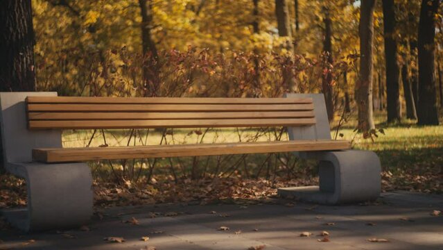 Beautiful view of cozy bench in autumn city park, hygge season, slow motion