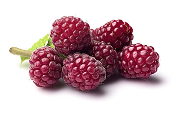 Boysenberry, raspberries isolated on white background