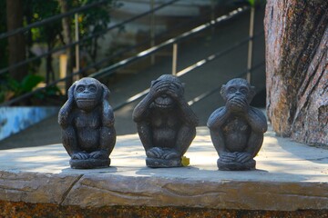 The three famous monkeys, Ko Samui