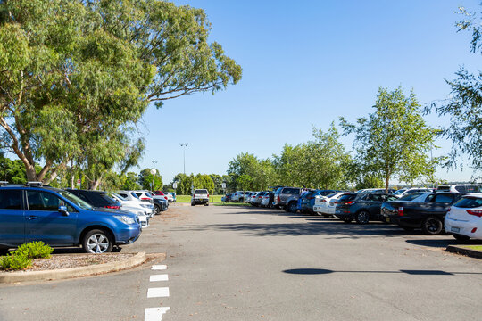 Full car park with vehicles under gum trees in Singleton near civic centre