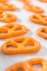 Gourmet Chocolate Covered Pretzel Twist