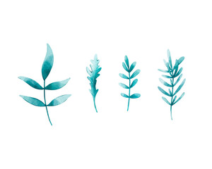 Set of blue-green leaves. Digital watercolor illustration