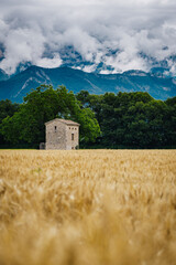 Old stone hut in the middle of a wheat field with the Alps mountain in the background and a cloudy...