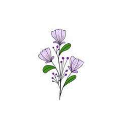 flower isolated on white background