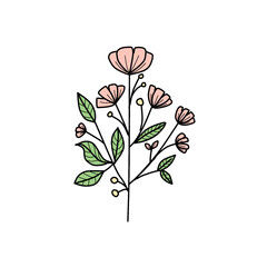 illustration of a flower