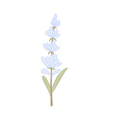 Naklejka na ściany i meble blue iris flower