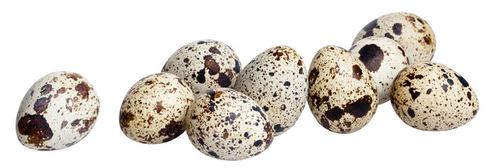 Obraz premium Delicious quail eggs cut out