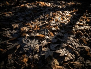 Intricate Leaf Shadows on Forest Floor - AI Generated