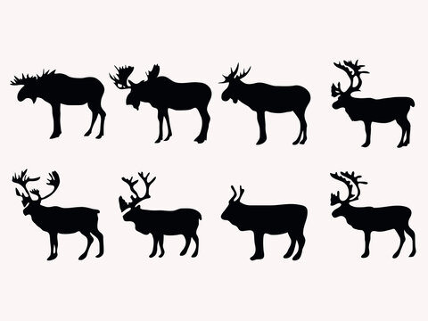 moose and deer silhouette vector illustration on white background