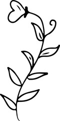 hand drawn floral line art