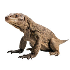 Obraz premium animal Komodo sitting on a transparent background, Generative ai 