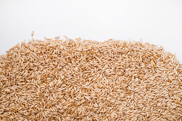 oat seeds background. Free space for text or design. Healthy and gluten free food consept