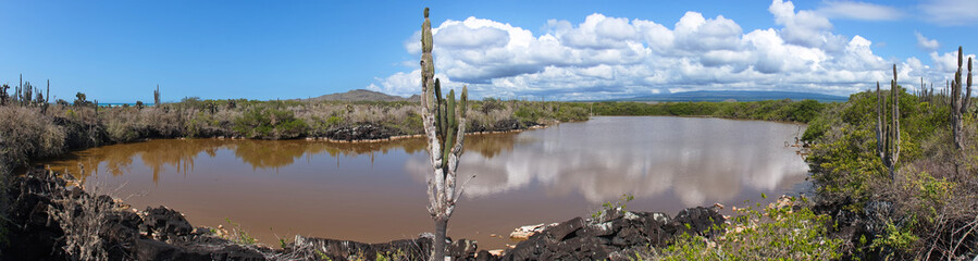 View of Pozas Verdes from Mirador Los Tunos at Puerto Villamil on Isabela island of Galapagos islands, Ecuador, South America
