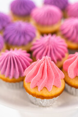 Mini Vanilla Cupcakes with Pink Buttercream Frosting